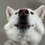Chris七▽pher 囧 Pickles - @christopherpickles - Instagram