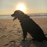 Christi Pletcher - @christipletcher - Instagram