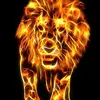 CHRISTOPHER PLETCHER - @christopher.pletc - TikTok