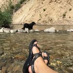Christy Climer Pletcher - @christypletcher - Instagram