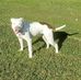 Chris Plummer - Facebook