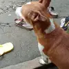 Chris Posada - @chris.posada1 - TikTok