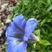 Christel Potthast - Facebook