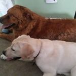 Chris Poulin - @chrisgpoulin - Instagram