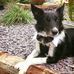 Chris Pratley - Facebook
