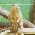 chris preece - @chrispreece_ - Instagram