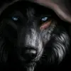 Chris Pretorius - @chris.pretorius39 - TikTok
