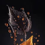 Chris Prince - @i_am_chrisprince - Instagram