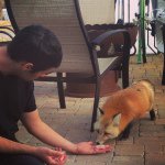 Chris Pucci - @chrispyig - Instagram