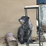 Chris Pyles - @romemonster - Instagram
