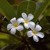 Chris Race - @chris.race0 - TikTok