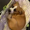 Chris Race - @chris.race4 - TikTok