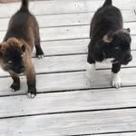 Chris Race - @astrophycisistbeliever - Instagram