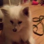 Chris Rader - @xpitifulnickelx_ - Instagram