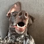 Chris Raine-Ellerker - @raineellerker - Instagram