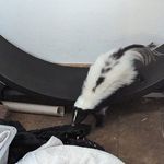 Chris Raney - @clr0023 - Instagram