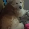 Chris Raney - @chris.raney0 - TikTok