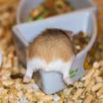 Chris Ranger - @rangybird112 - Instagram