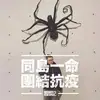 克莉絲拉奧 - @chris.rao - TikTok
