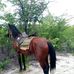 Chrisy Rapsy Rapson - Facebook