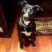 Chris Ray - Facebook