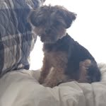 @chrisrecchia - Instagram