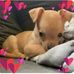Christine Redrup VanderMeer - Facebook