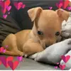 christineredrupva - @christineredrupva - TikTok