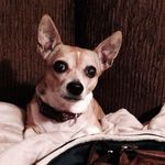 Christine Regimbal - @redgepnr1 - Instagram