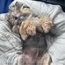 Christopher Renehan - Facebook