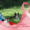 Christine Renier - @christinerenier - TikTok