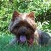 Chris Renninger - Facebook