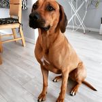 Christian Renninger - @christian.renninger - Instagram