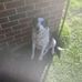 Christopher Renshaw - Facebook