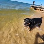 Chris Riegler - @criegler00 - Instagram