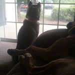 Chris Riggle - @riggle47122 - Instagram