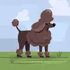 Chris Riggleman - @chris.riggleman3 - TikTok
