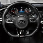Chris Riggs - @kiastingerdriver - Instagram