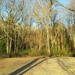 Chris Rigler - @go_papa_go - Instagram