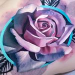 Chris Rigoni Portfolio - @chrisrigoniportfolio - Instagram