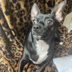 Christy Rigsbee Miller - @christyrigsbee1 - Instagram