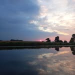 Chris Rijsdijk - @chrisrijsdijk - Instagram