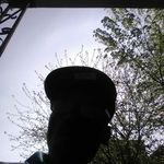 Christopher Ringgold - @christopherringgold2 - Instagram
