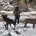 Chris Ringle - Facebook