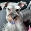 Chris Ringwald - @chris.ringwald - TikTok