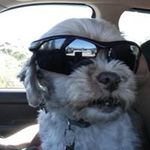 Chris Rioux - @chris_the_techguy_ - Instagram