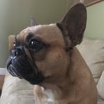 Chris Risner - @chrisner1 - Instagram