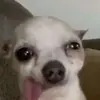 Chris - @christopherrittenhouse - TikTok