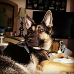 Chris Rittenhouse - @2413.christopher - Instagram