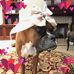 Chris Ritz - Facebook